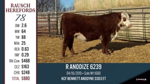 Lot #78 - R ANODIZE 6239