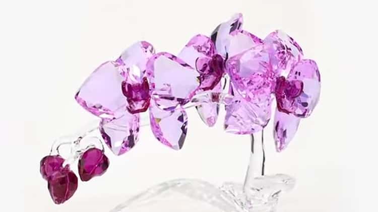 Swarovski figur Crystal Flowers Orchid - 5520373 on Vimeo