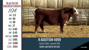 Lot #104 - R ADDITION 4999