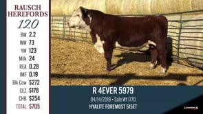 Lot #120 - R 4EVER 5979