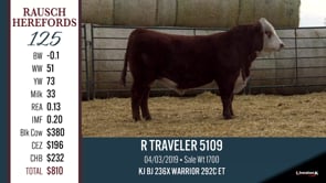Lot #125 - R TRAVELER 5109