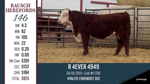 Lot #146 - R 4EVER 4949