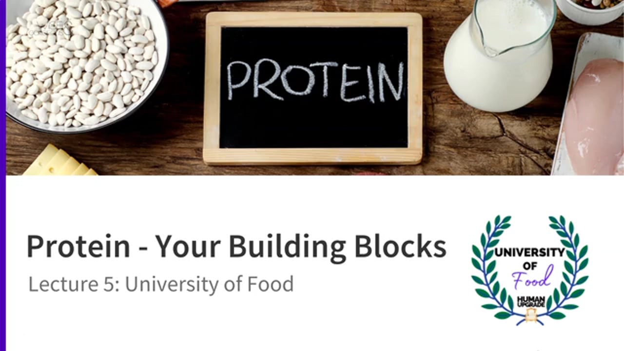 University of Food: Lecture 5 Protein