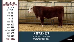 Lot #141 - R 4EVER 4639