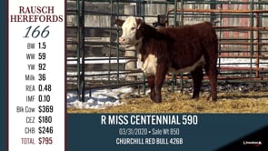 Lot #166 - R MISS CENTENNIAL 590