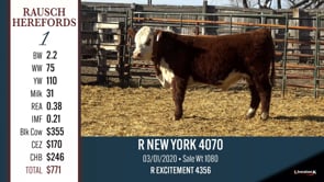 Lot #1 - R NEW YORK 4070