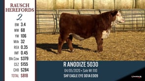 Lot #2 - R ANODIZE 5030