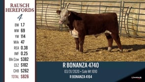 Lot #4 - R BONANZA 4740
