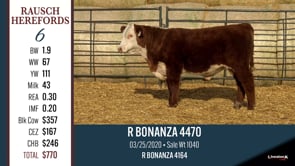 Lot #6 - R BONANZA 4470