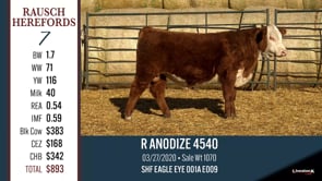 Lot #7 - R ANODIZE 4550