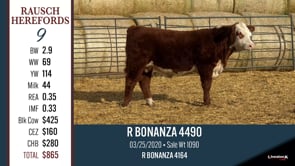 Lot #9 - R BONANZA 4490