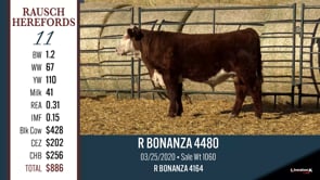 Lot #11 - R BONANZA 4480