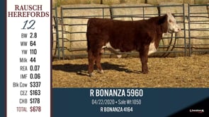 Lot #12 - R BONANZA 5960