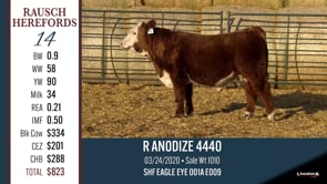 Lot #14 - R ANODIZE 4440