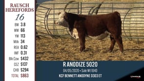 Lot #16 - R ANODIZE 5020