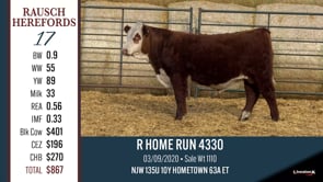Lot #17 - R HOME RUN 4330