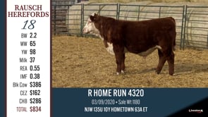 Lot #18 - R HOME RUN 4320
