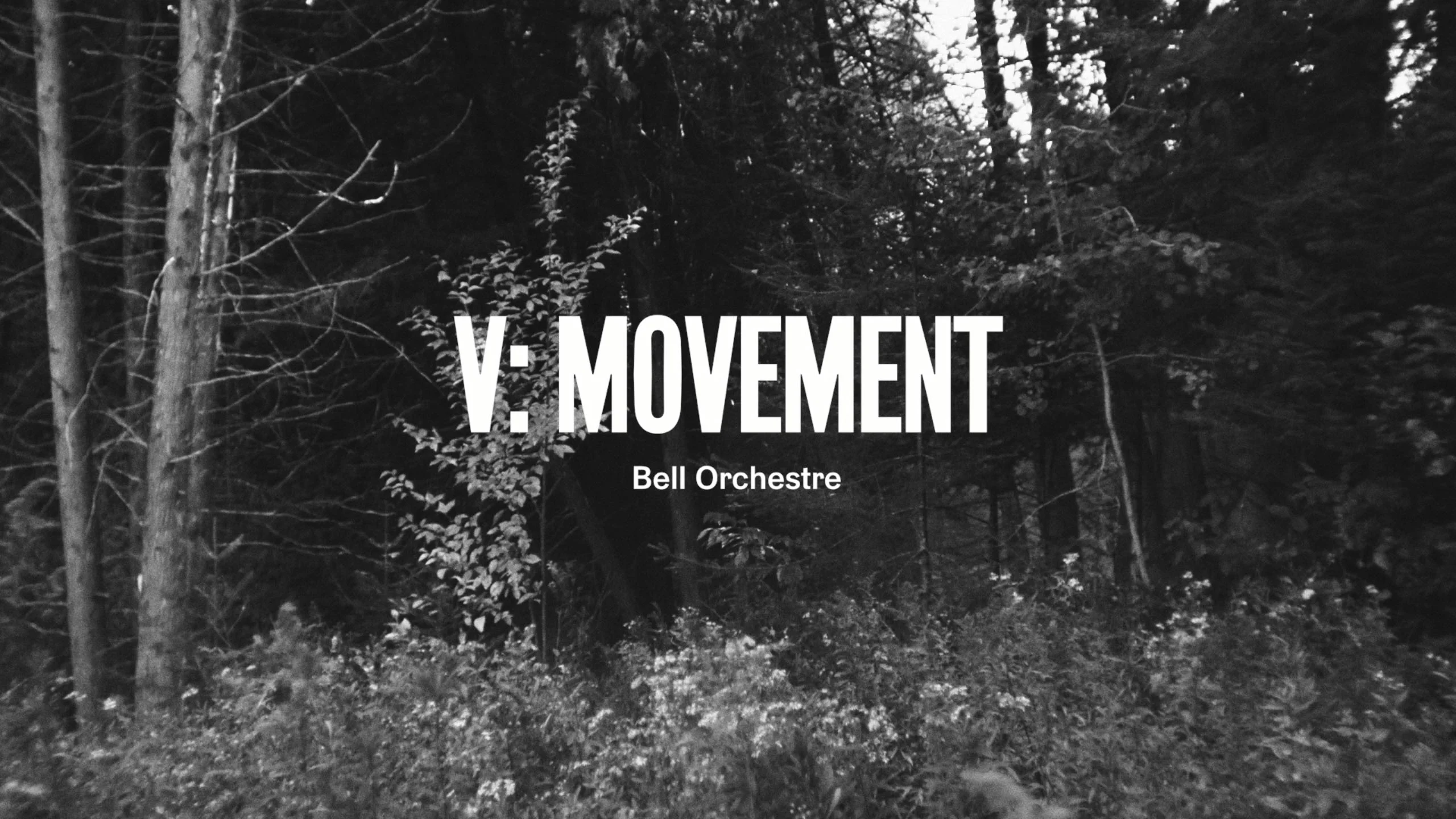 As Seen Through Windows by Bell Orchestre - Releases