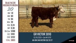 Lot #20 - GR VICTOR 3010