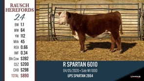 Lot #24 - R SPARTAN 6010
