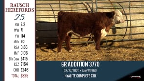 Lot #25 - GR ADDITION 3770