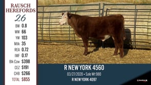 Lot #26 - R NEW YORK 4560