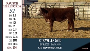 Lot #31 - R TRAVELER 5610