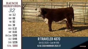 Lot #32 - R TRAVELER 4870