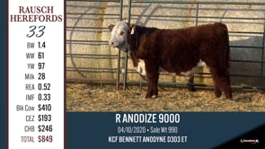 Lot #33 - R ANODIZE 900