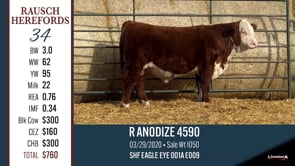 Lot #34 - R ANODIZE 4590