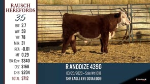 Lot #35 - R ANODIZE 4390