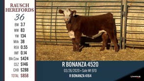 Lot #36 - R BONANZA 4520 **OUT OF SALE**