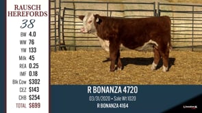 Lot #38 - R BONANZA 4720