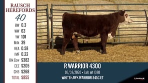 Lot #40 - R WARRIOR 4300