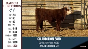 Lot #41 - GR ADDITION 3810