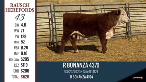 Lot #43 - R BONANZA 4370