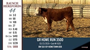 Lot #44 - GR HOME RUN 3500