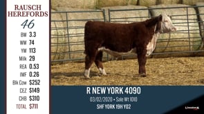 Lot #46 - R NEW YORK 4090