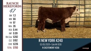 Lot #47 - R NEW YORK 4240