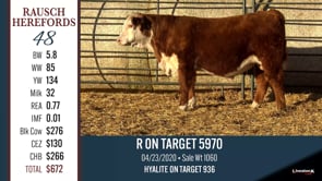 Lot #48 - R ON TARGET 5970