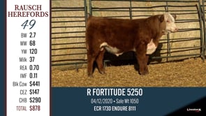 Lot #49 - R FORTITUDE 5250