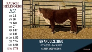 Lot #52 - GR ANODIZE 3070