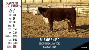 Lot #54 - R LEADER 4190