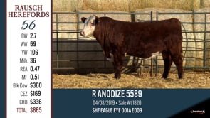 Lot #56 - R ANODIZE 5589
