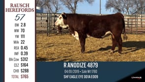 Lot #57 - R ANODIZE 4879