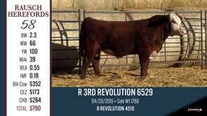 Lot #58 - R 3RD REVOLUTION 6529