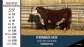 Lot #59 - R BONANZA 5439