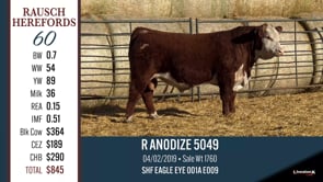 Lot #60 - R ANODIZE 5049