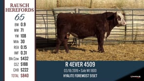 Lot #65 - R 4 EVER 4509
