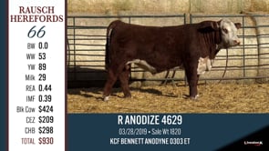 Lot #66 - R ANODIZE 4629